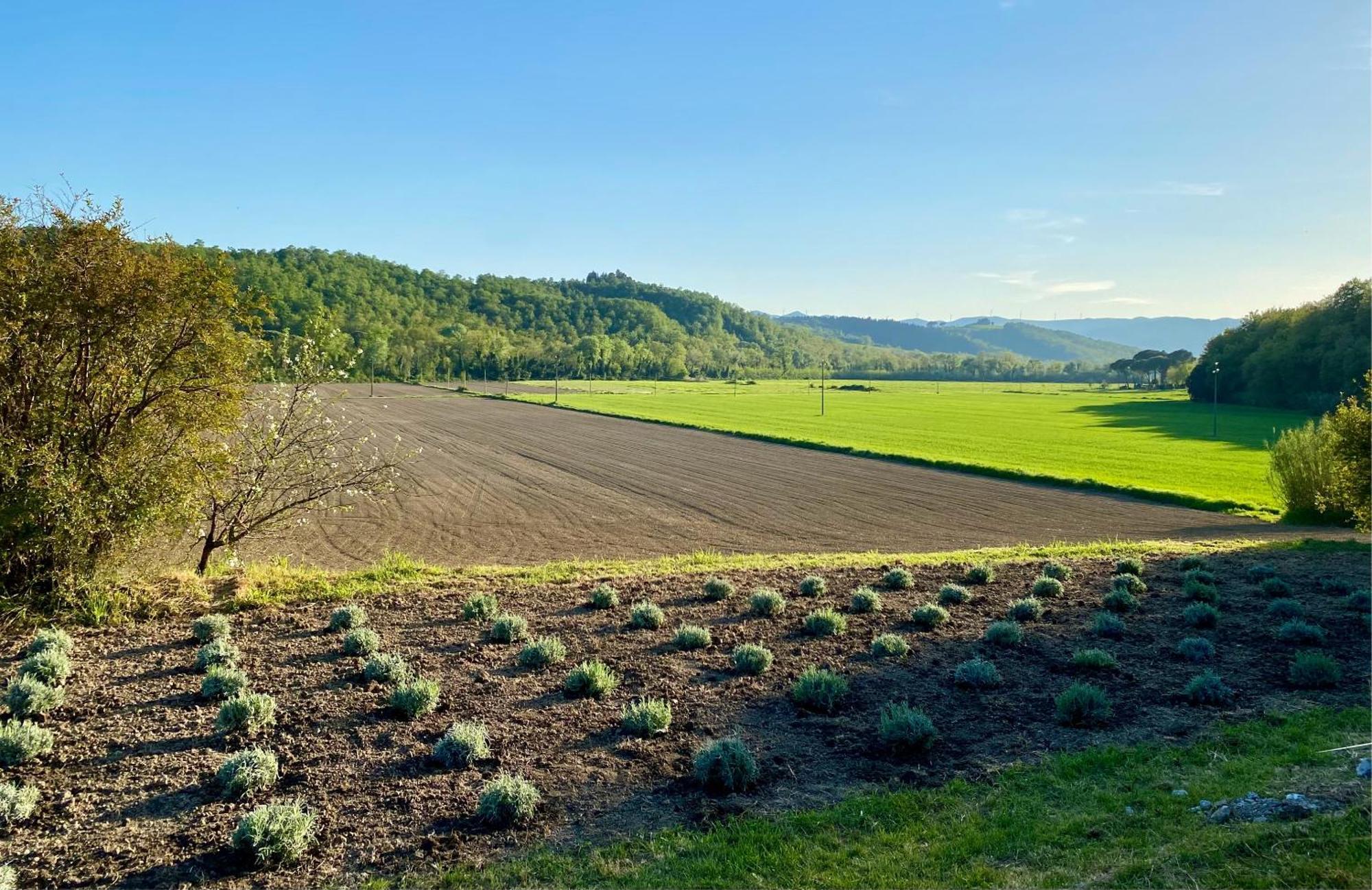 Casa Vacanze Podere San Giusto Volterra Kültér fotó