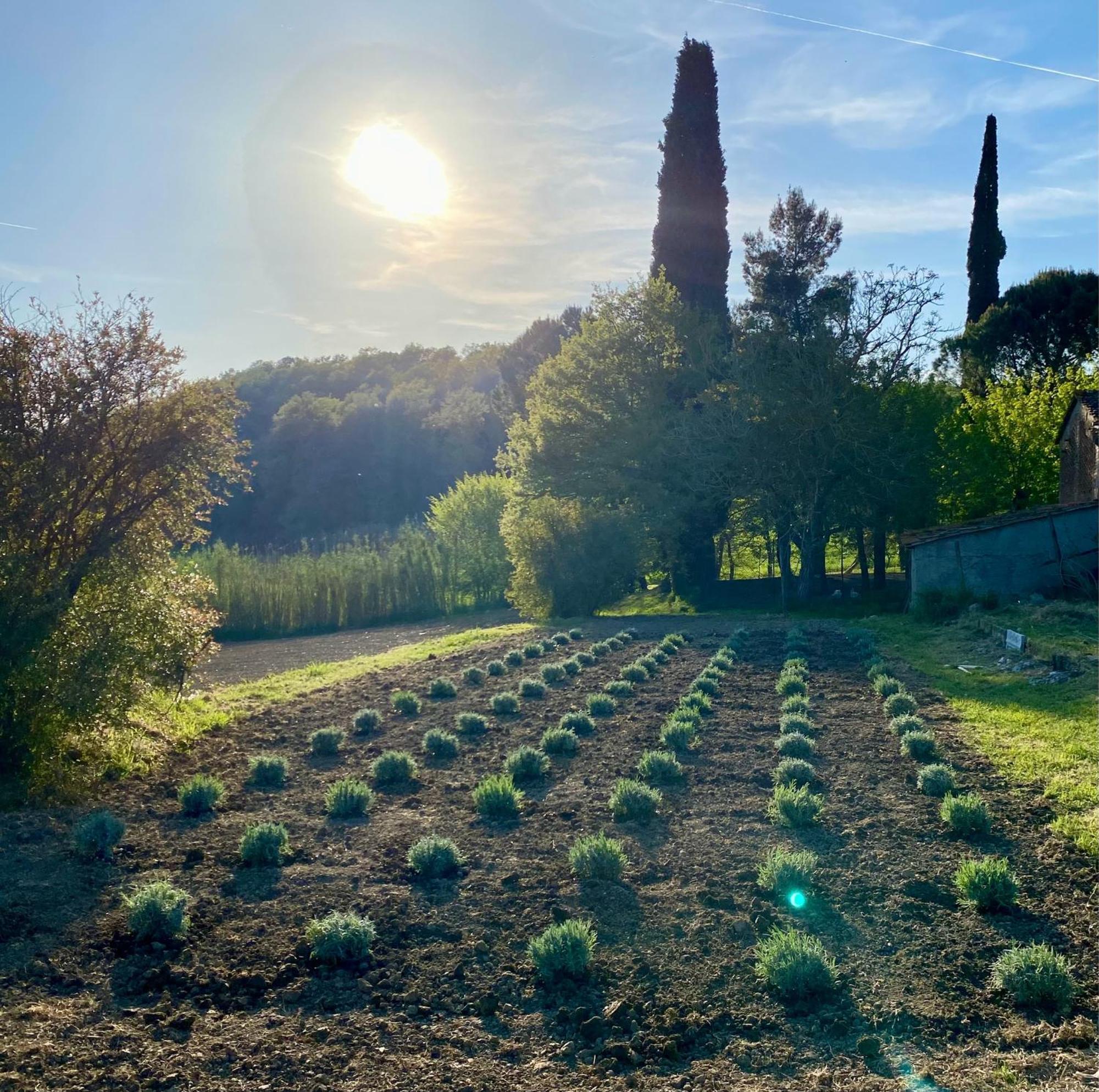 Casa Vacanze Podere San Giusto Volterra Kültér fotó