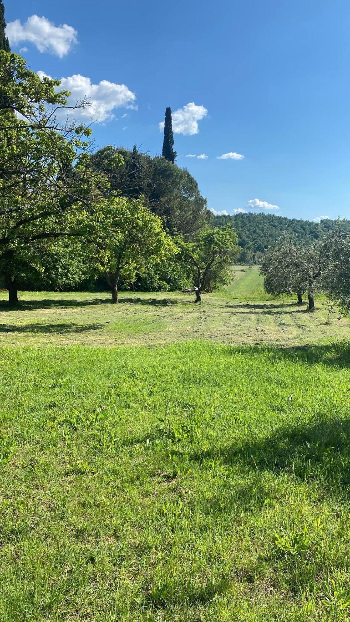 Casa Vacanze Podere San Giusto Volterra Kültér fotó