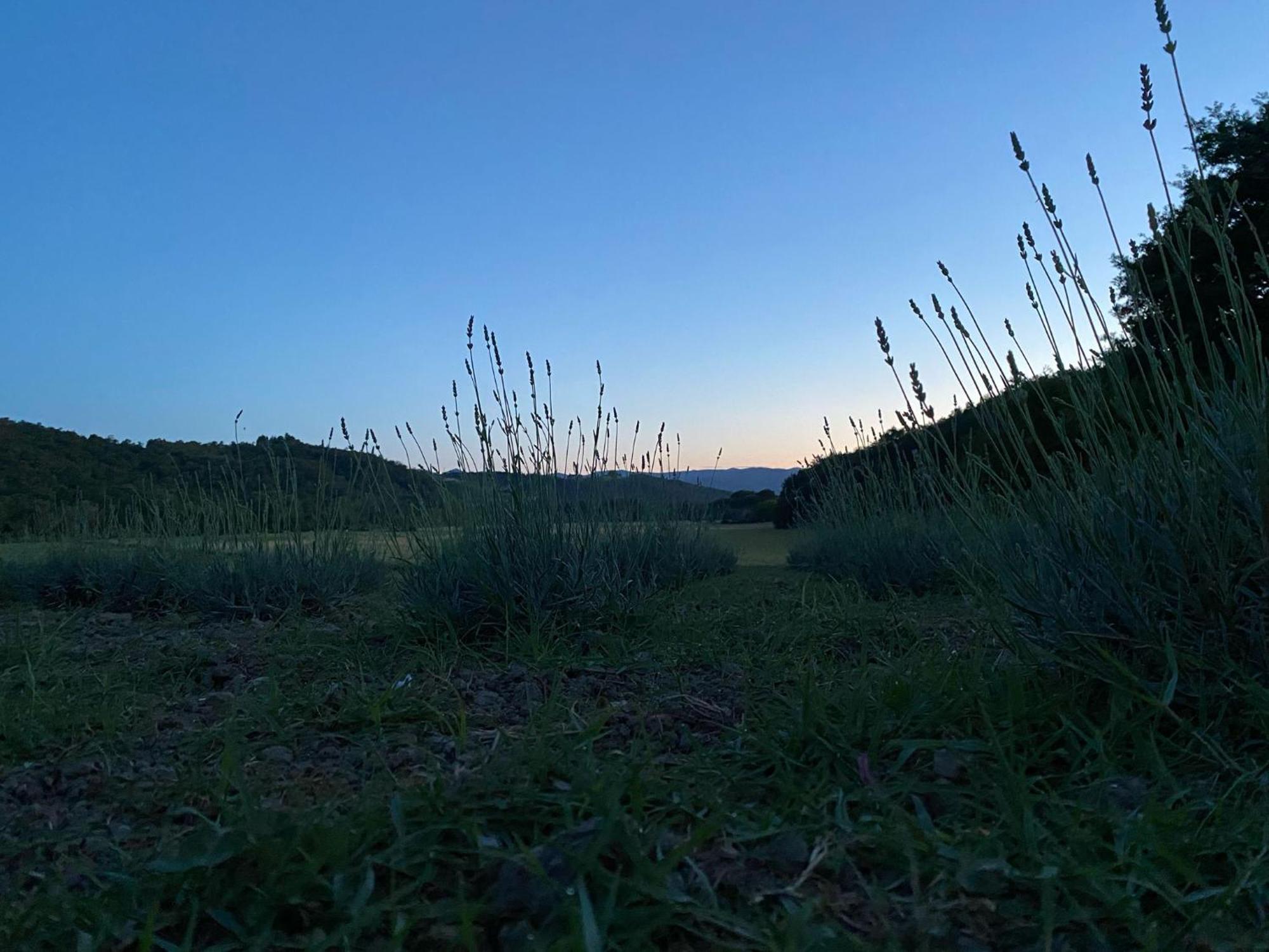 Casa Vacanze Podere San Giusto Volterra Kültér fotó