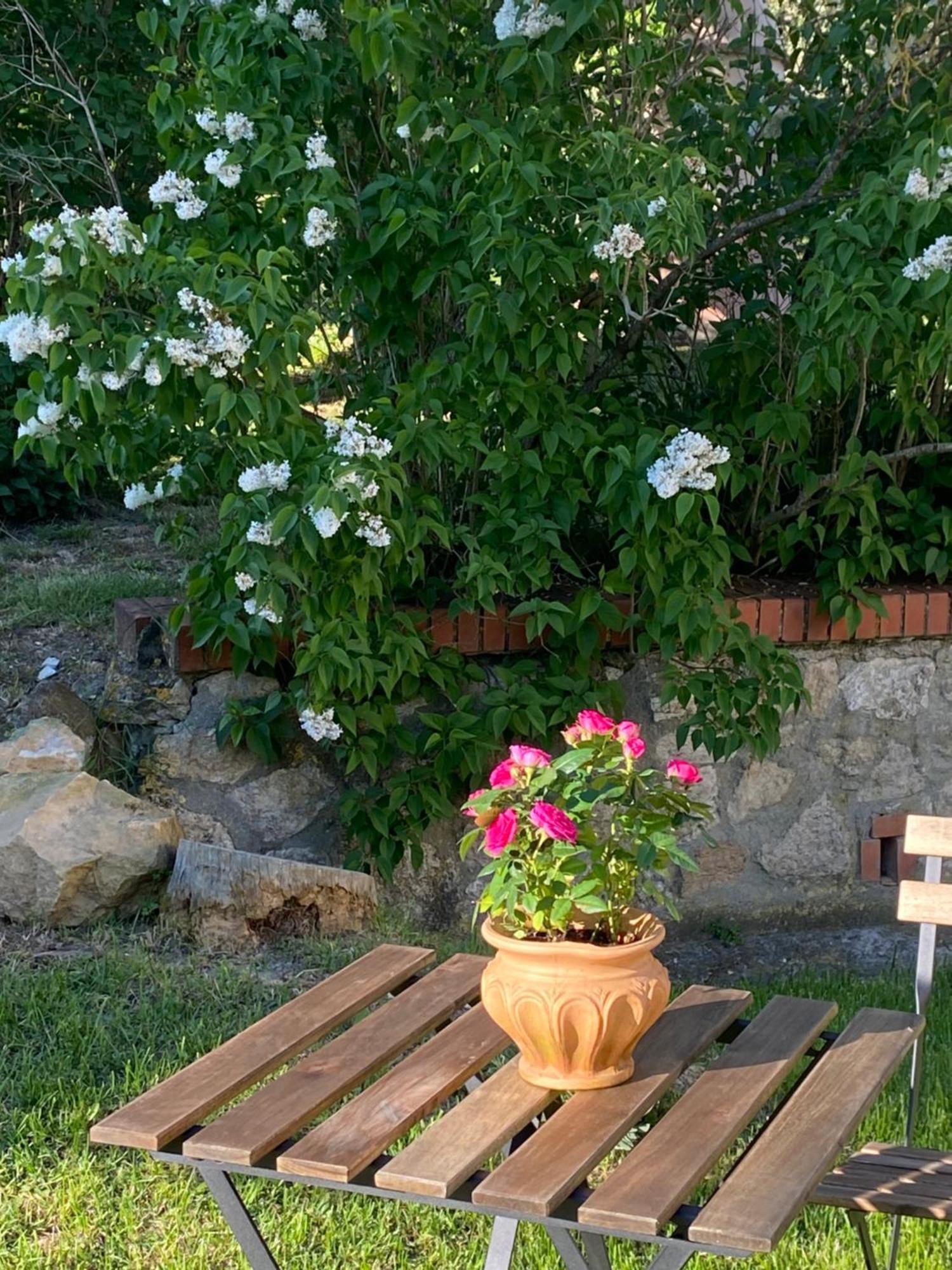 Casa Vacanze Podere San Giusto Volterra Kültér fotó